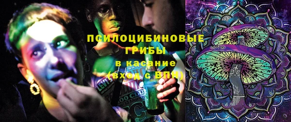 стаф Алзамай