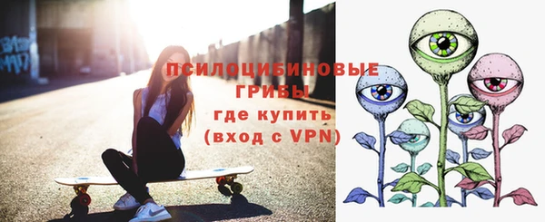 сатива Абаза