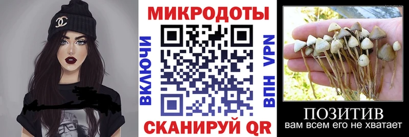 Галлюциногенные грибы Cubensis  Ува 